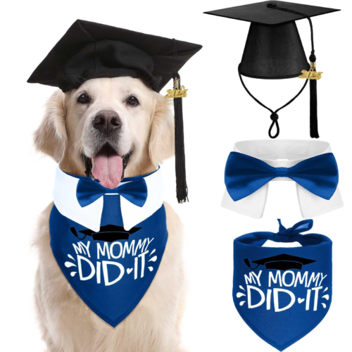 Dog Graduation Hat Set for Wholesale