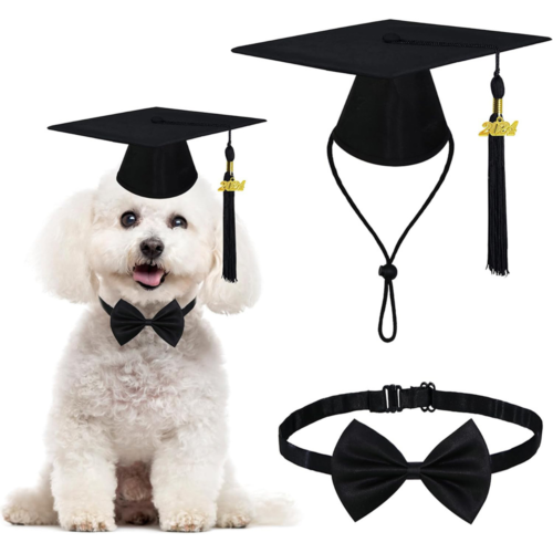 Dog Graduation Hat Set for Wholesale