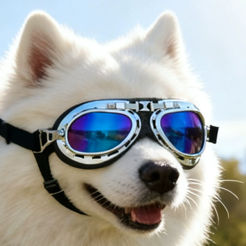 Dog Pilot Goggles with Retro Design for Wholesale