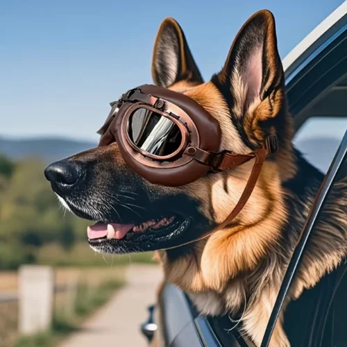 Dog Pilot Goggles with Retro Design for Wholesale