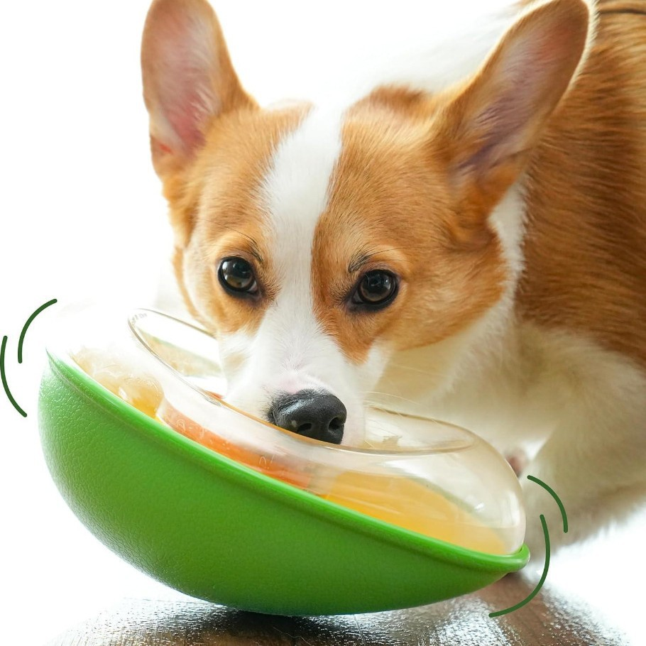 Dog Puzzle Feeder