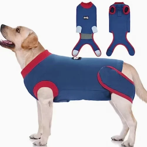 Dog Recovery Suit with Belly Access – Soft Post-Surgery Protection for Wholesale