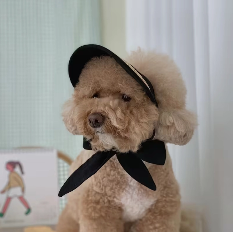 Dog Sun Hat - Image 3