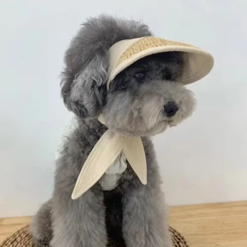 Dog Sun Hat