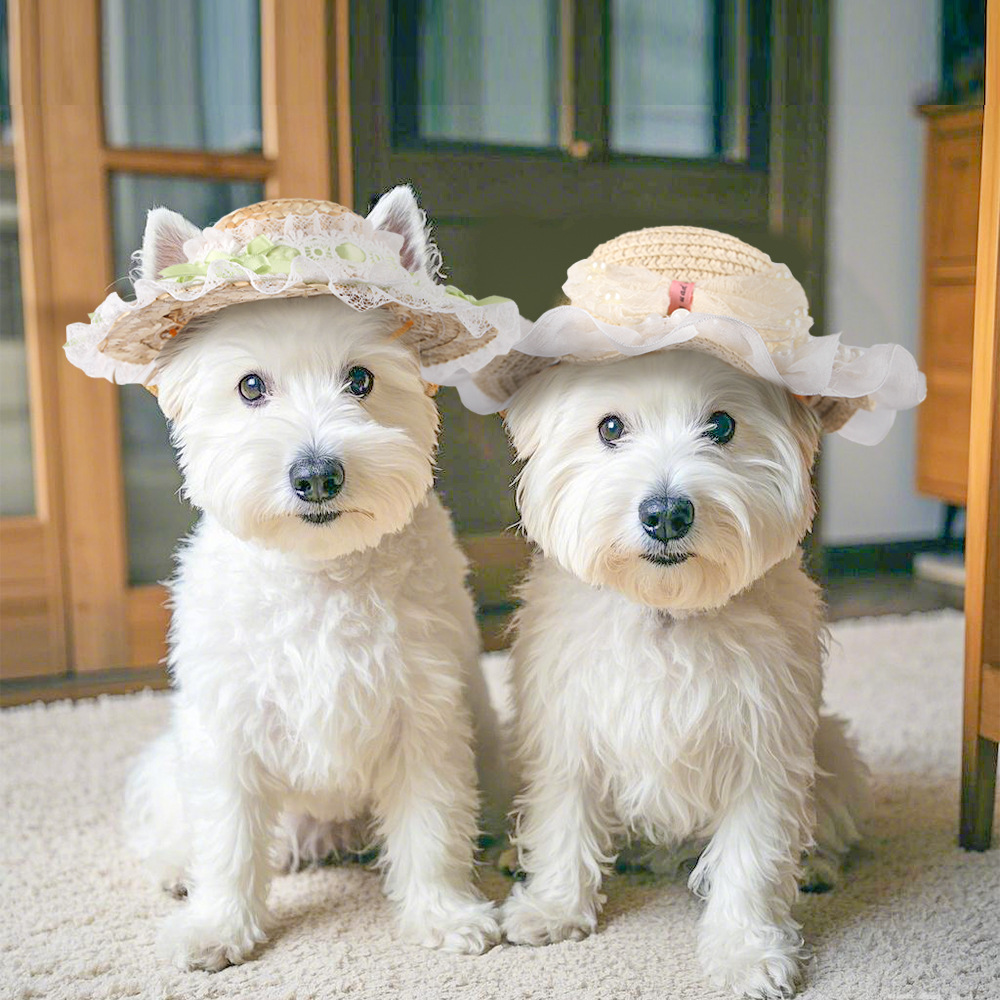 Dog Sun Hat with Breathable Woven Design for Wholesale