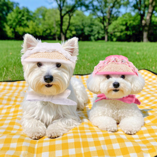 Dog Sun Hat with Breathable Woven Design for Wholesale