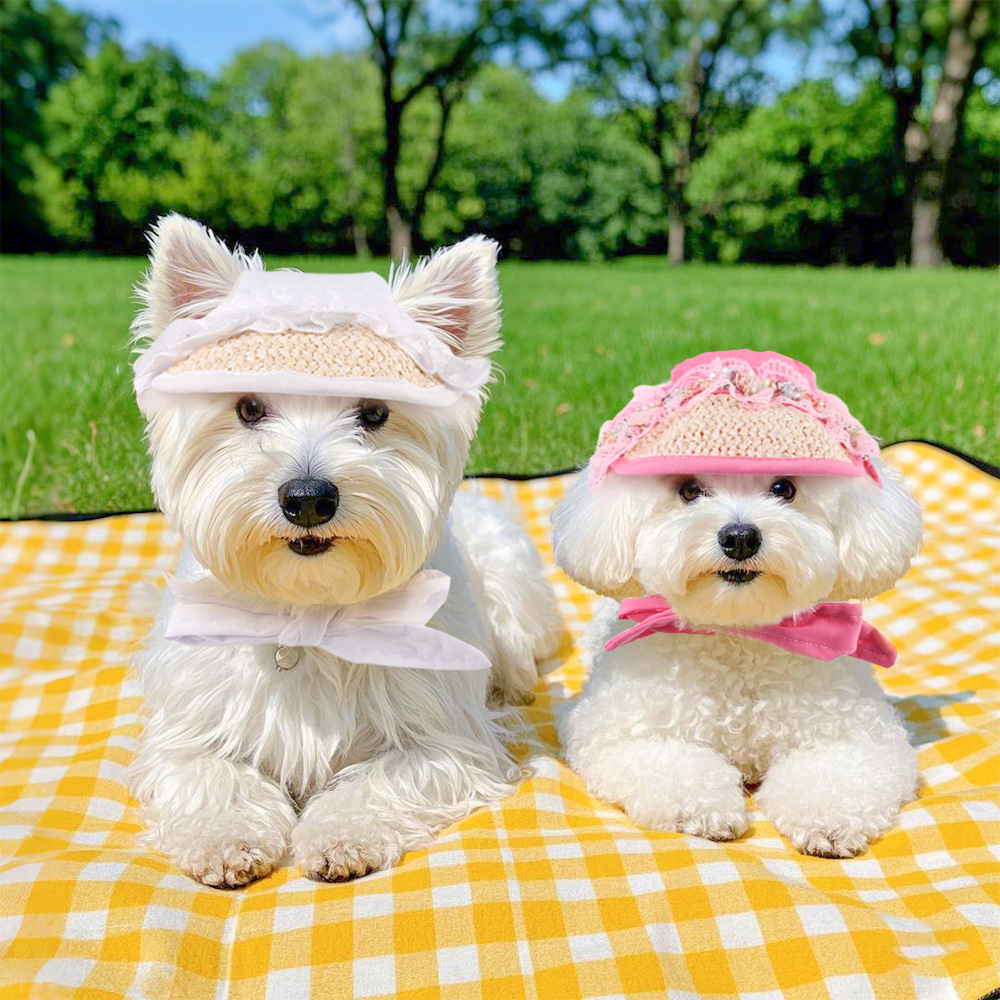Dog Sun Hat with Breathable Woven Design for Wholesale