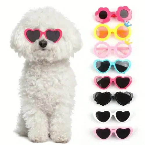 Dog Sunglasses