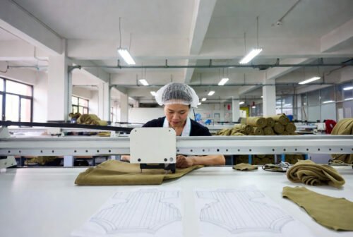 Dog Sweatshirt Custom