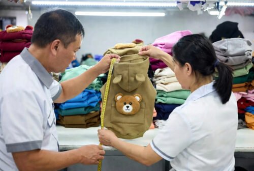 Dog Sweatshirt Custom