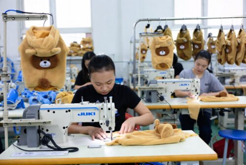 Dog Sweatshirt Custom