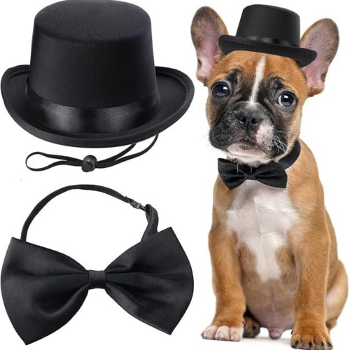 Dog Top Hat