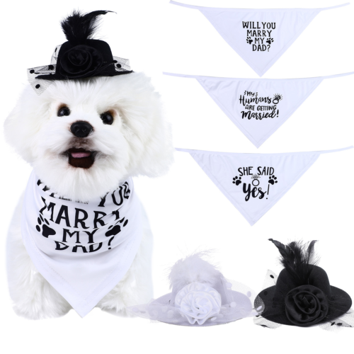 Dog Top Hat