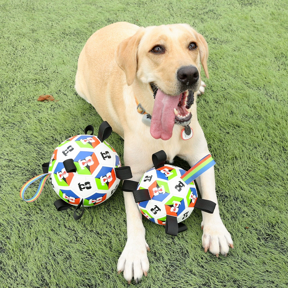 Dog Toys for Strong Chewers