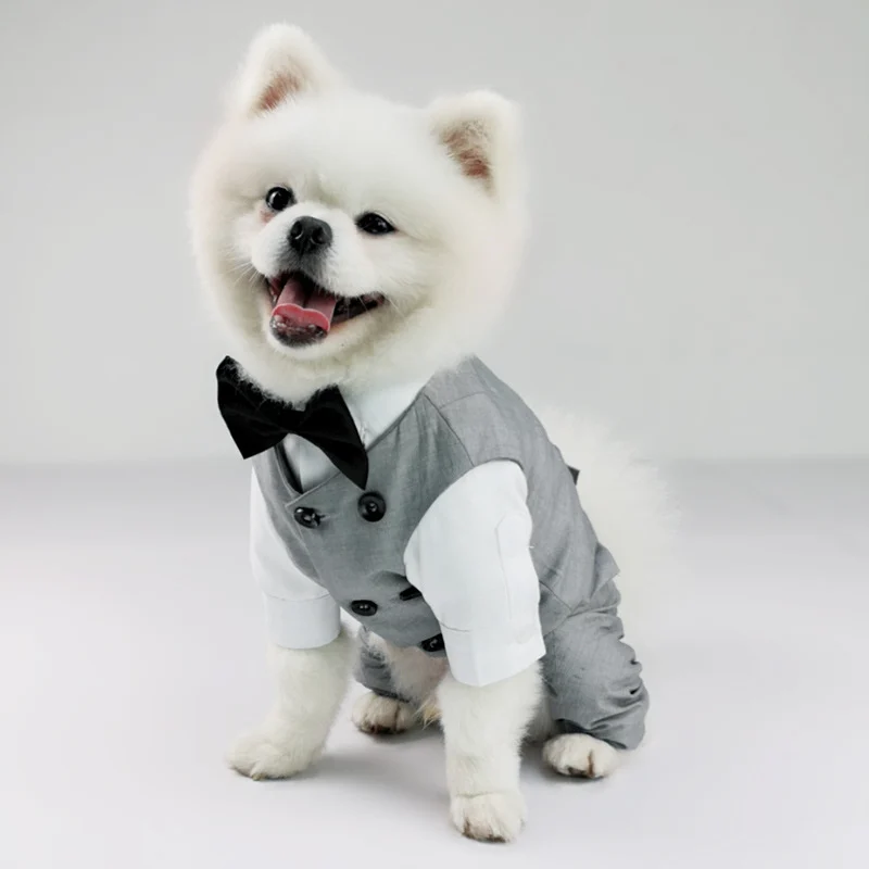 Dog Tuxedo