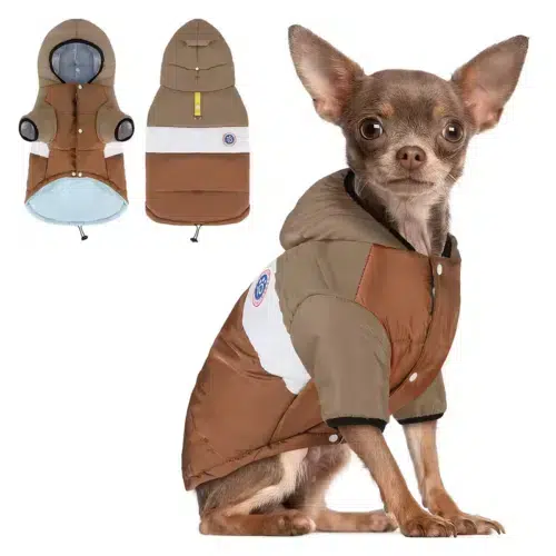 Dog Winter Jacket – Insulated Hooded Coat with Windproof Warmth for Wholesale Buyers