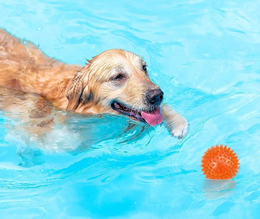 Durable Chew Toys For Dogs - Image 3