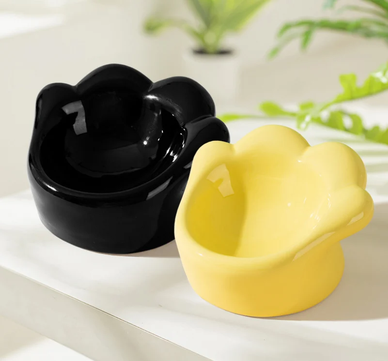 Elevated Ceramic Cat Bowls