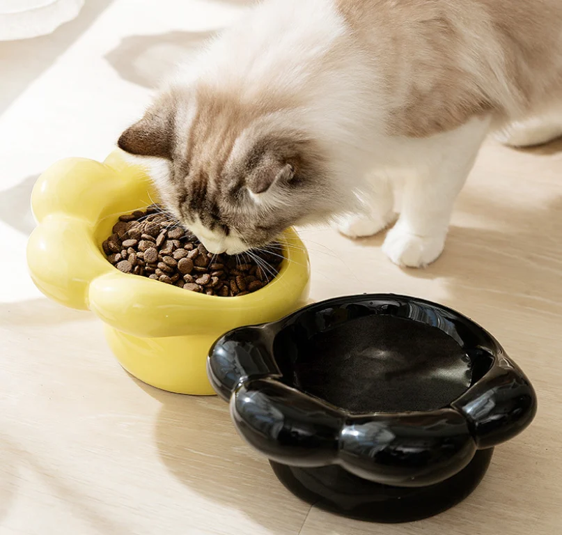 Elevated Ceramic Cat Bowls