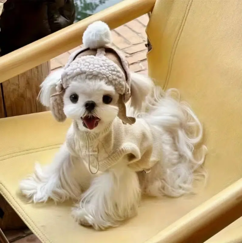 Faux Suede Dog Pilot Hat for Wholesale