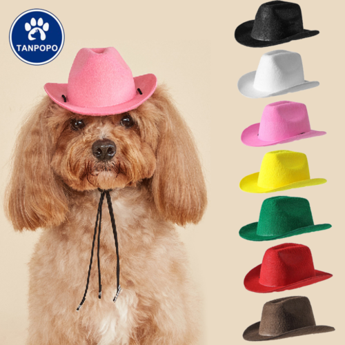 Felt Dog Cowboy Hat for Wholesale