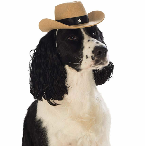 Felt Dog Cowboy Hat for Wholesale