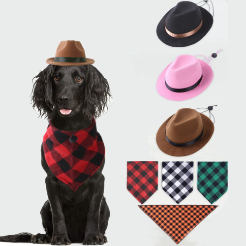 Felt Dog Cowboy Hat for Wholesale