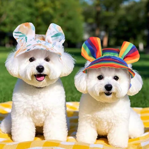 Floral Print Dog Beach Hat for Wholesale