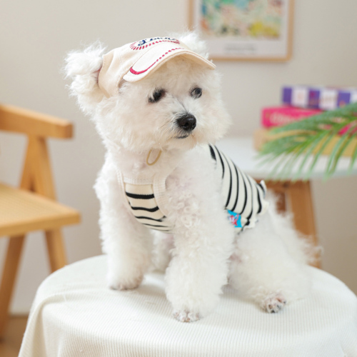 Floral Print Dog Beach Hat for Wholesale