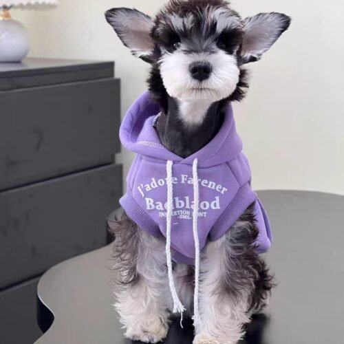 Happy Hoodie for Dogs