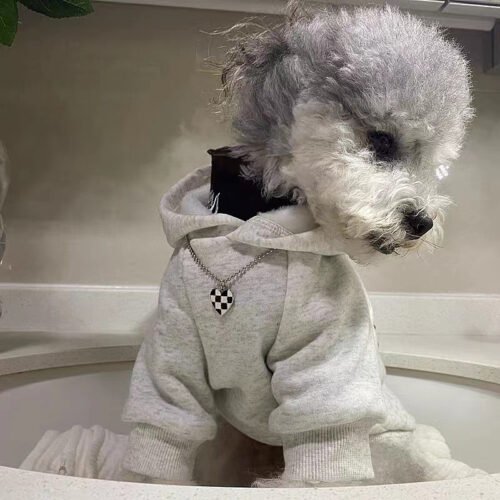 Happy Hoodie for Dogs