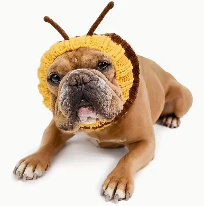 Knit Dog Beanie for Wholesale