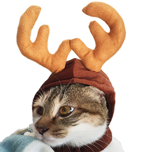 Knit Dog Elf Hat for Wholesale