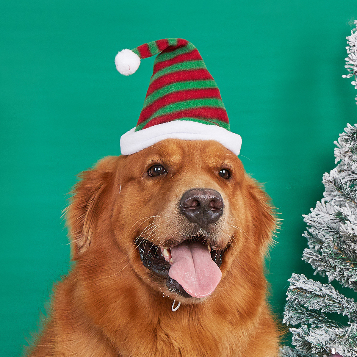Knitted Striped Dog Wearing Santa Hat for Wholesale