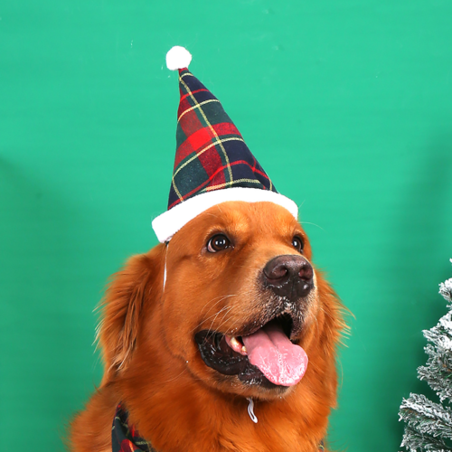 Knitted Striped Dog Wearing Santa Hat for Wholesale