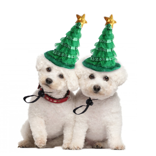 Knitted Striped Dog Wearing Santa Hat for Wholesale