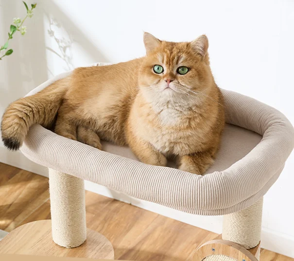 Large Cat Trees