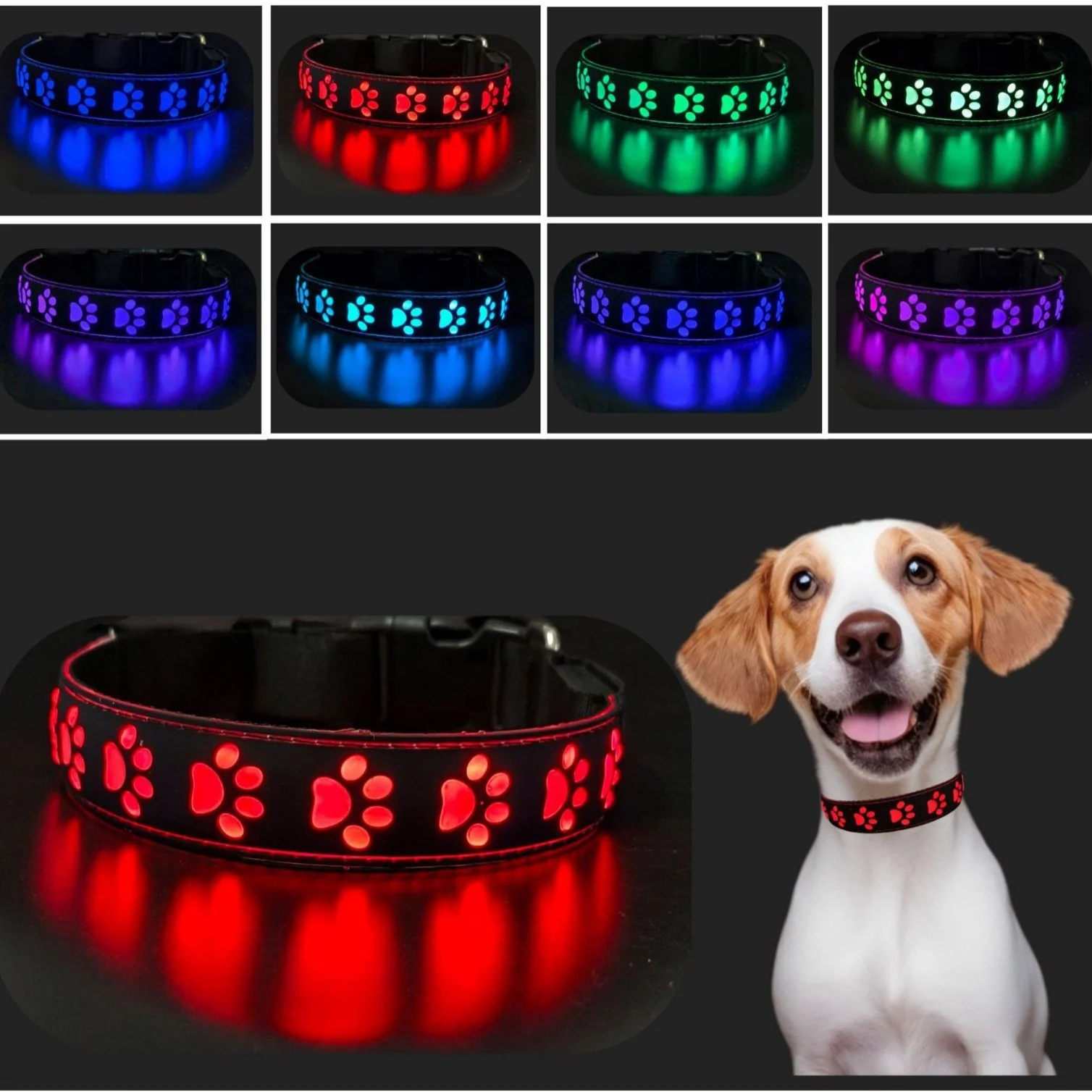 Led Dog Collar