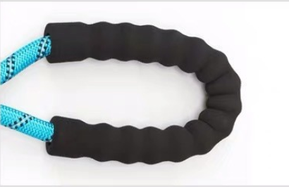 Nylon Dog Leash for Wholesale