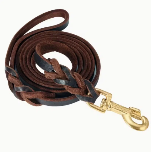 Nylon Dog Leash for Wholesale