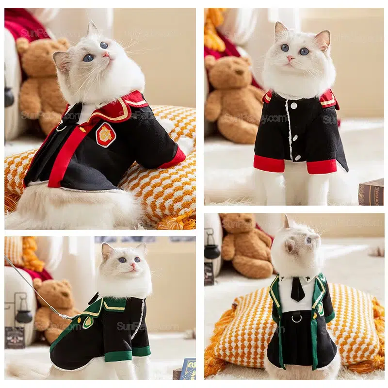 OEM Cat Academy Outfit for Seasonal Pet Apparel Lines