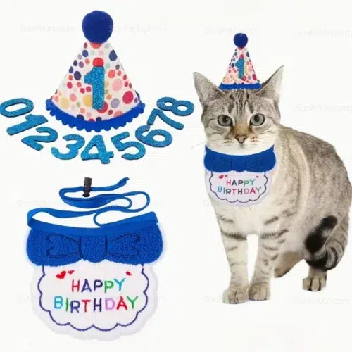 OEM Cat Birthday Outfit with Interchangeable Number Hat