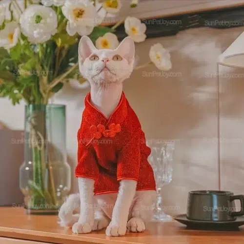OEM Festive Cat Apparel in Traditional Cheongsam Style