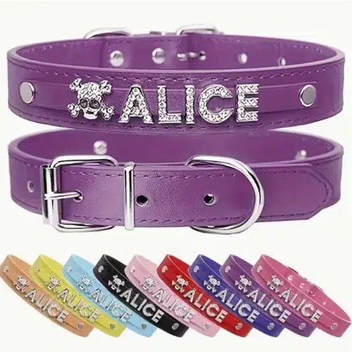 OEM Skull Design Dog Collars with Slide-On Rhinestone Letters