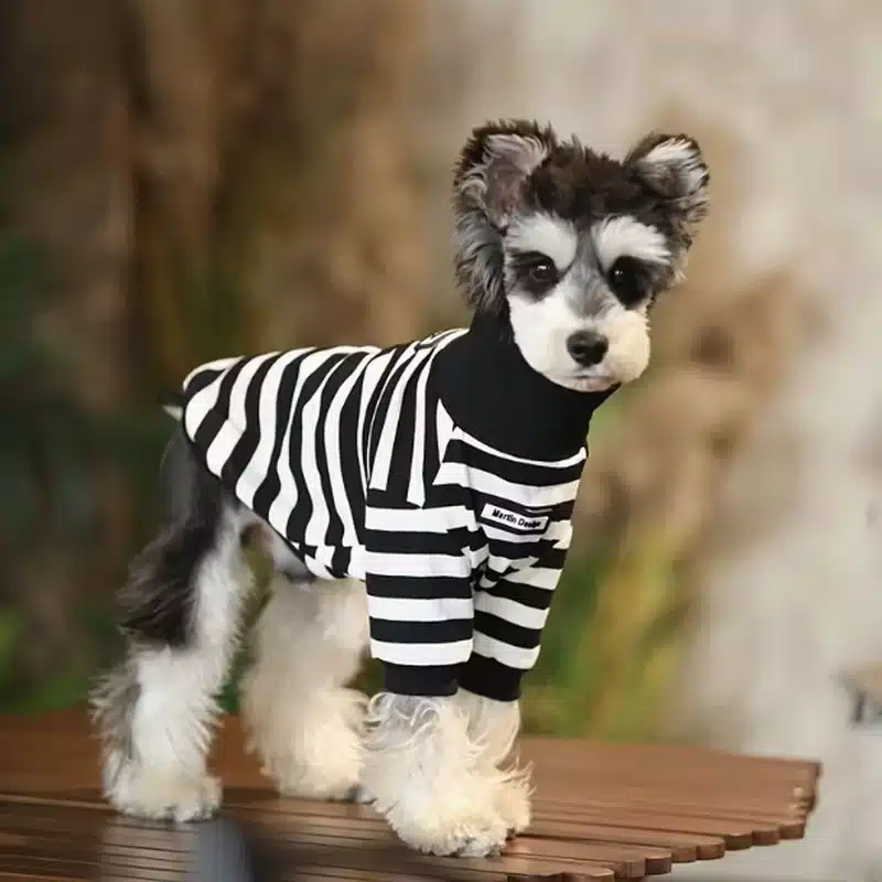 Black Turtleneck for Dogs