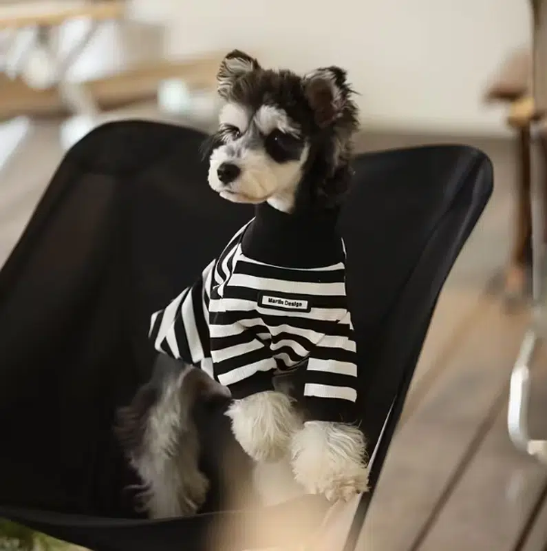 Black Turtleneck for Dogs - Image 3