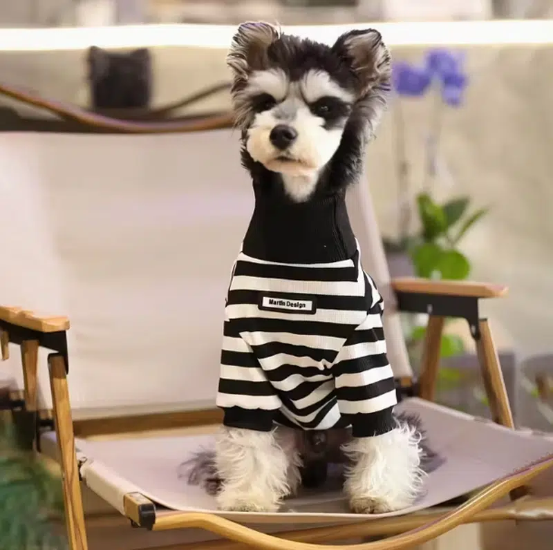 Black Turtleneck for Dogs - Image 4