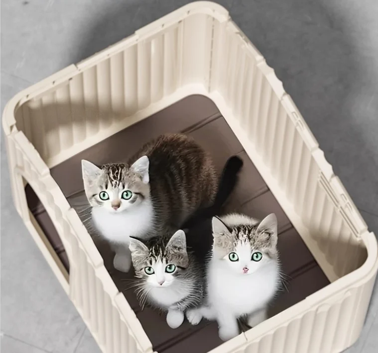 Outdoor Cat Houses