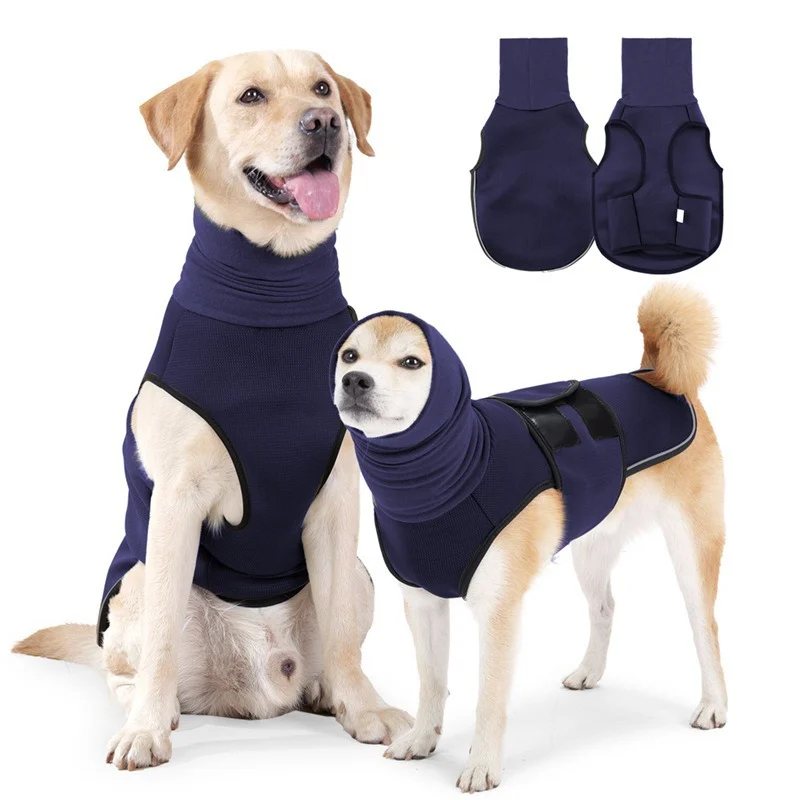 Pet Recovery Suit