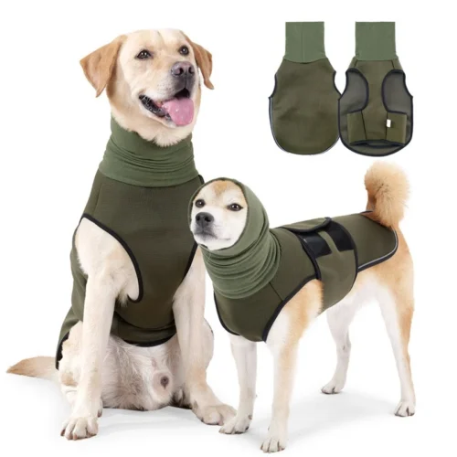 Pet Recovery Suit